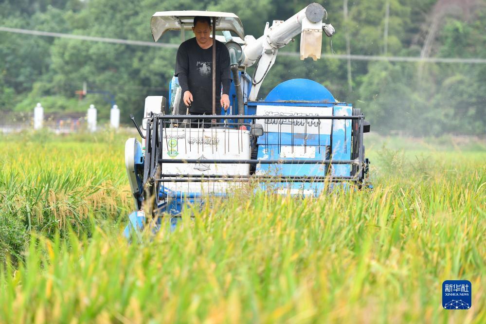 捕鱼游戏网络版